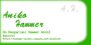 aniko hammer business card